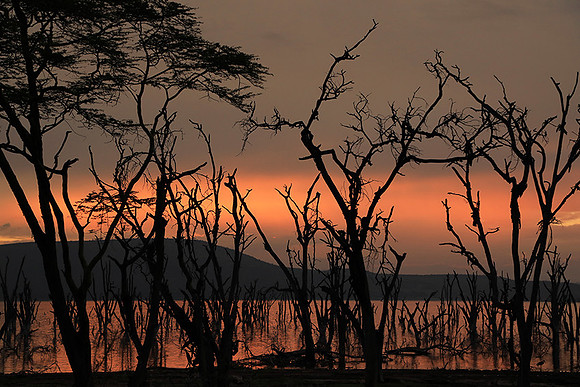Lake Nakuru - sunrise