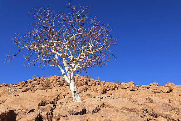Damaraland