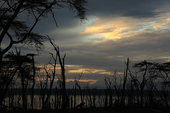 Lake Nakuru - sunrise