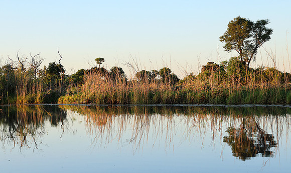 Delta of Okavango