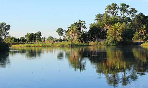 Delta of Okavango