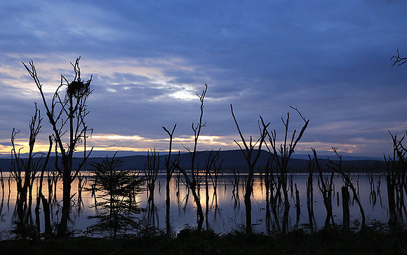 Lake Nakuru - sunrise