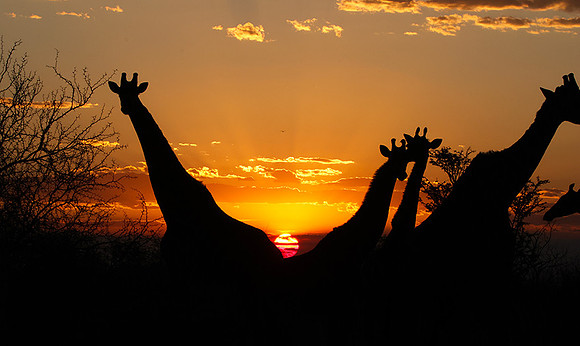 Sunset - Tau Pan