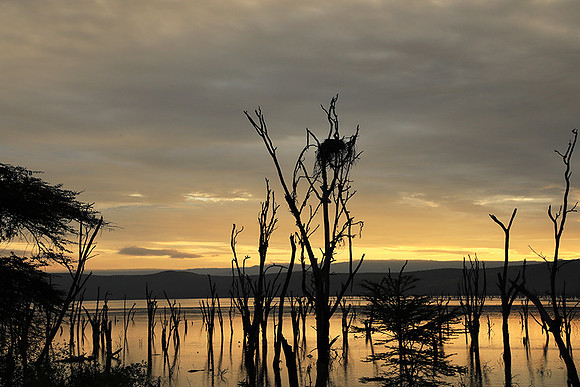 Lake Nakuru - sunrise