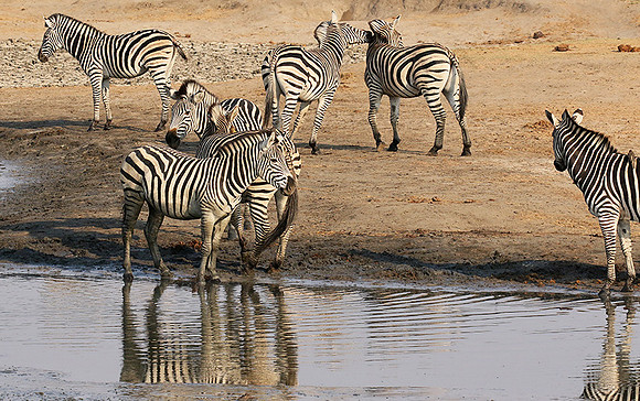 Hwange National Park