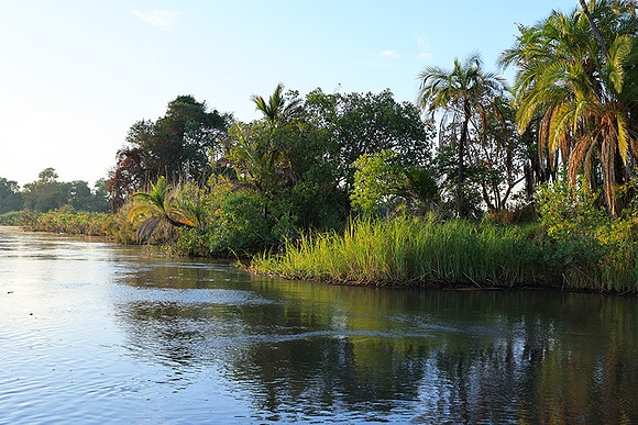 Delta of Okavango