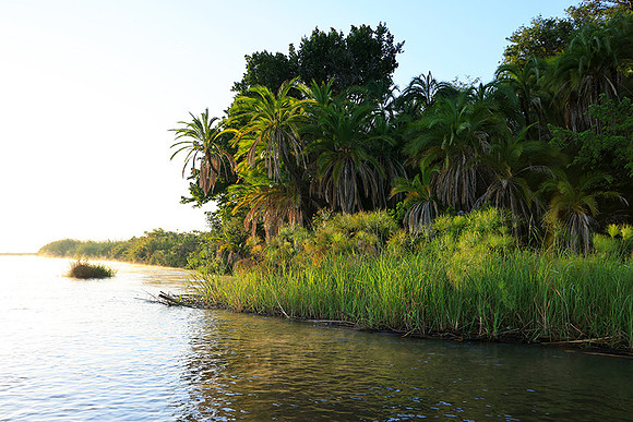 Delta of Okavango