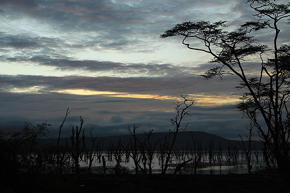Lake Nakuru - sunrise