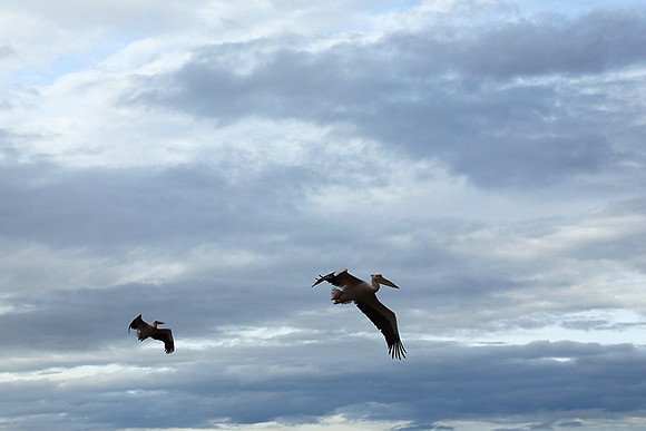 Lake Nakuru