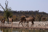 Onguma Private Reserve
