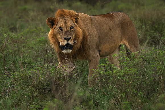Nakuru