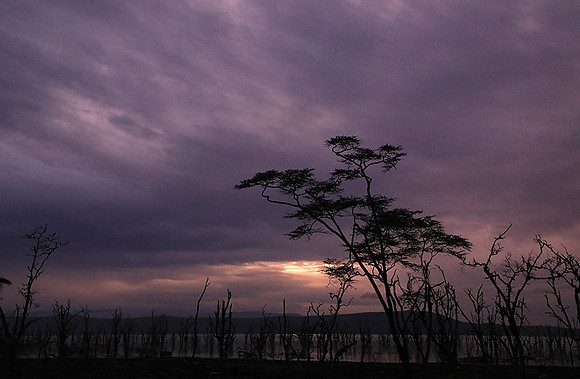 Lake Nakuru - sunrise