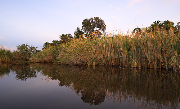 Delta of Okavango