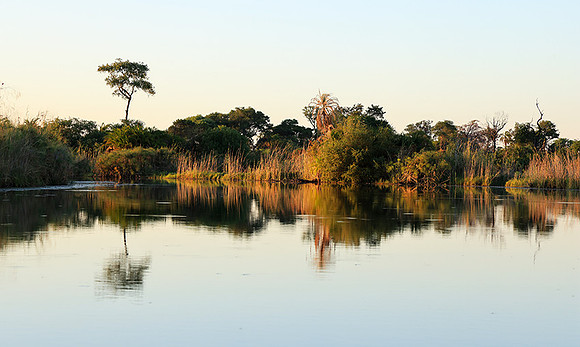 Delta of Okavango