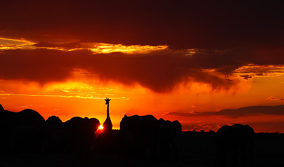 Sunset - Nxai Pan