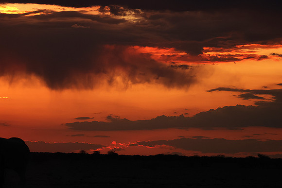 Sunset - Nxai Pan