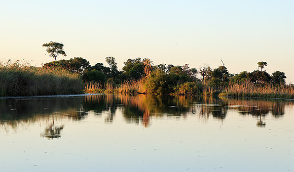 Delta of Okavango