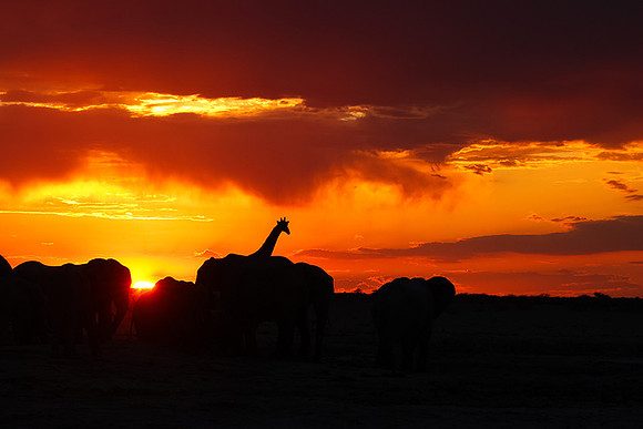 Sunset - Nxai Pan