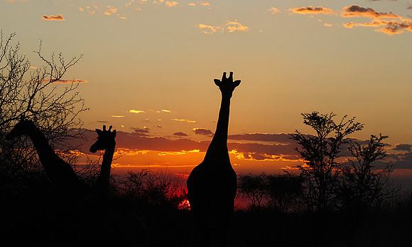 Sunset - Tau Pan