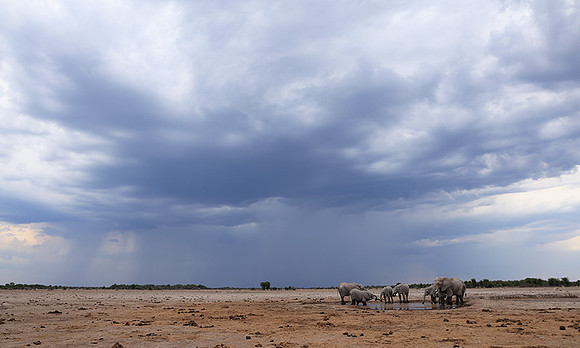 Nxai Pan