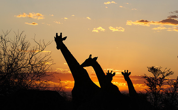 Sunset - Tau Pan