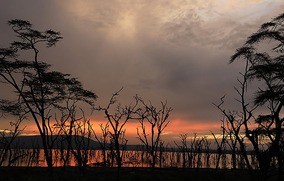 Lake Nakuru - sunrise