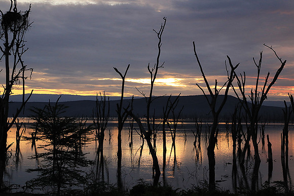 Lake Nakuru - sunrise