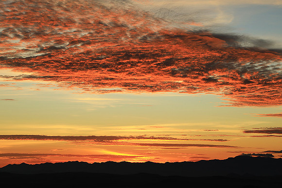 Sunrise Borana
