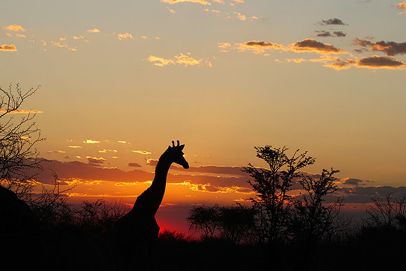 Sunset - Tau Pan