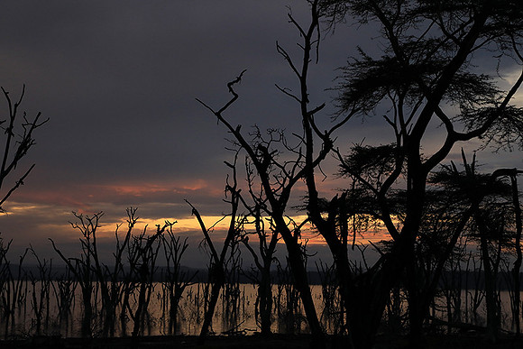Lake Nakuru - sunrise