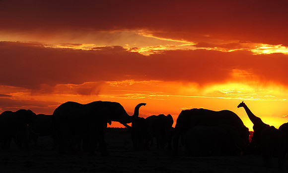 Sunset - Nxai Pan