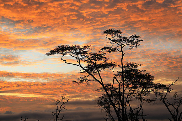 Lake Nakuru - sunrise