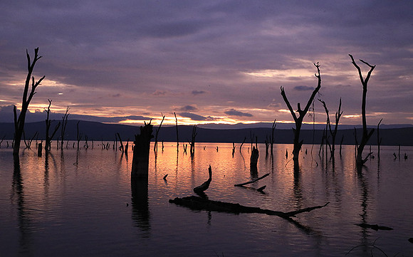 Lake Nakuru - sunrise
