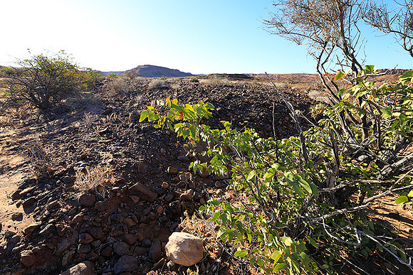 Damaraland