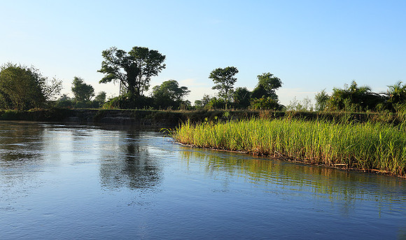 Delta of Okavango