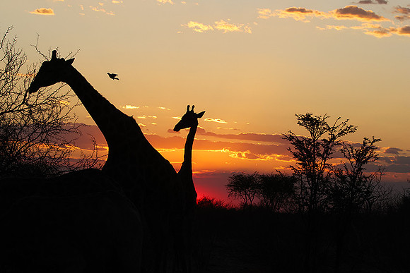 Sunset - Tau Pan