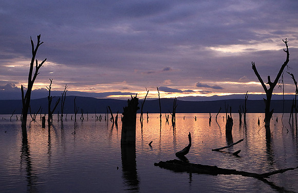 Lake Nakuru - sunrise
