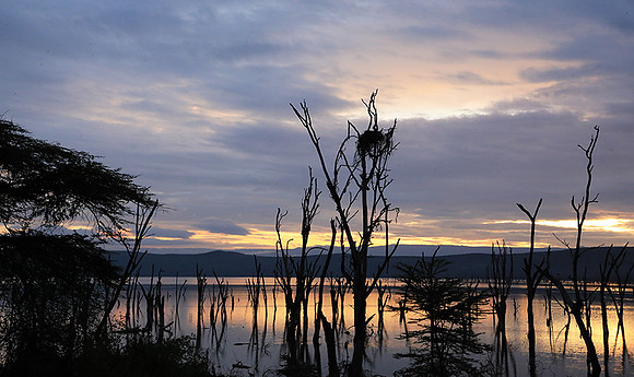 Lake Nakuru - sunrise