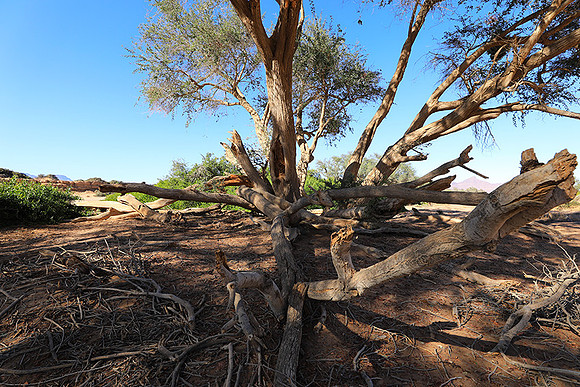 Damaraland