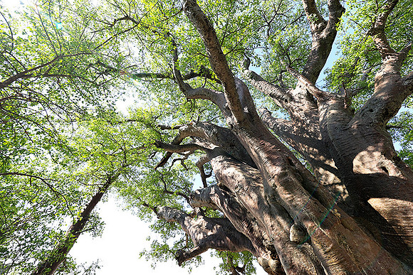 Botswana
