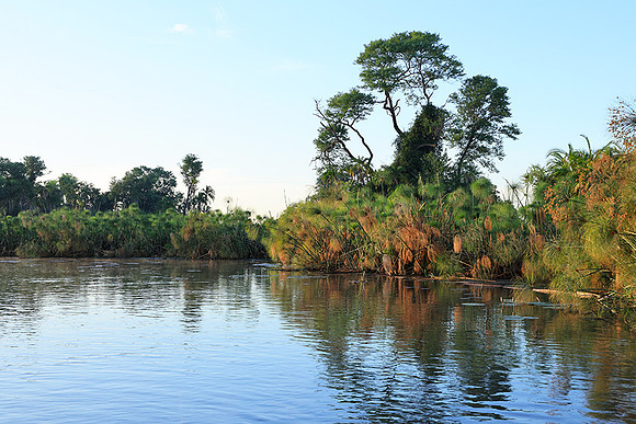 Delta of Okavango