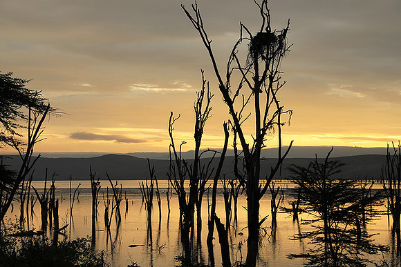 Lake Nakuru - sunrise
