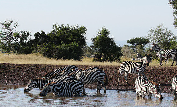 Serengeti - Grumeti Private Reserve
