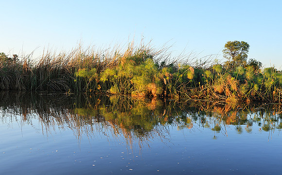 Delta of Okavango