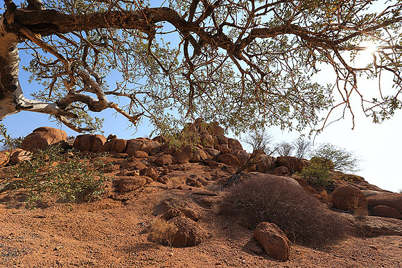 Damaraland