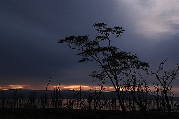 Lake Nakuru - sunrise
