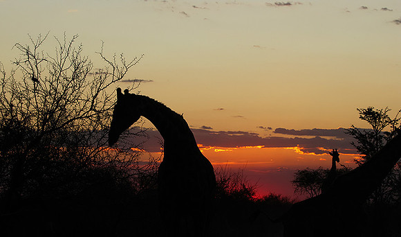 Sunset - Tau Pan