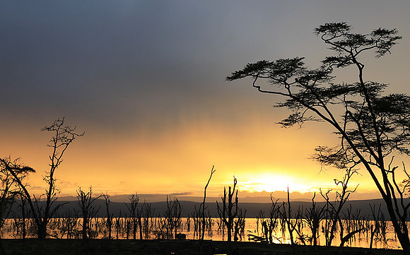 Lake Nakuru - sunrise