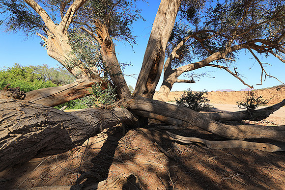 Damaraland