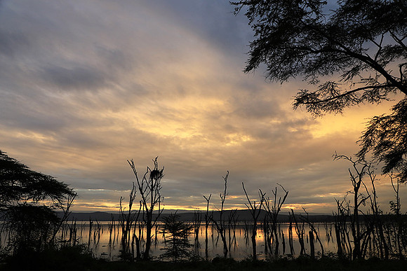 Lake Nakuru - sunrise